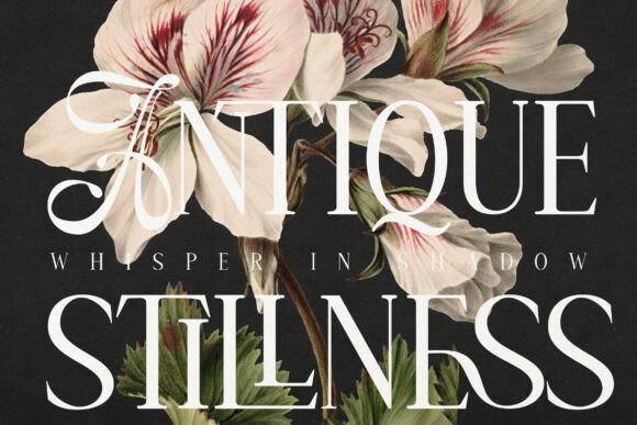 Amelissa Partis Font - Image 6