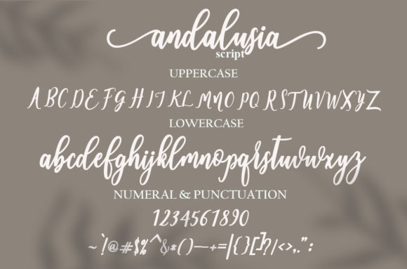 Andalusia Font - Image 7