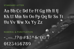 Alternative view of Angel Stencil Font