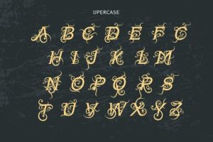 Alternative view of Angelia Monogram Font