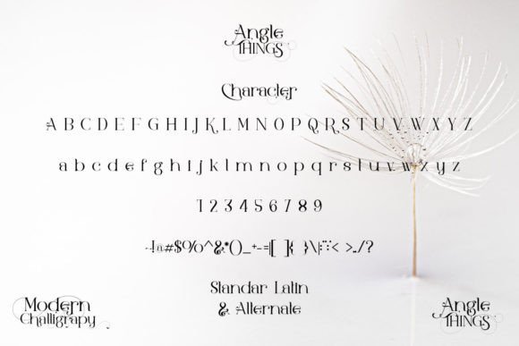 Angle Things Font - Image 8