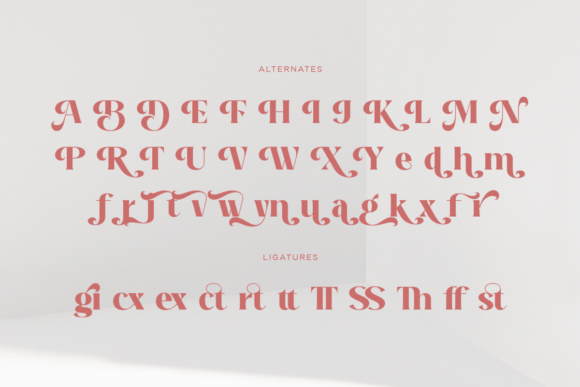 Another Beauty Font - Image 9