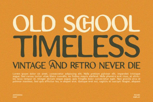 Antichona Font - Image 5