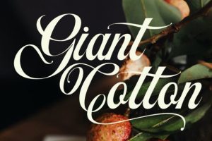 Alternative view of Artheria Font