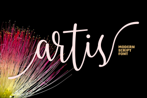 Alternative view of Artis Font