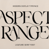 Aspect Range Font