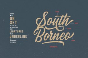 Alternative view of Autogate Family Font