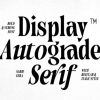 Autograde - Strong Bold Serif Font
