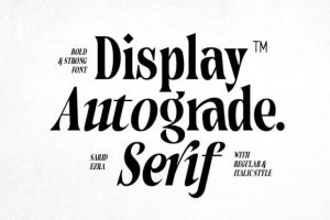 Autograde - Strong Bold Serif Font