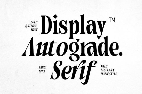 Autograde - Strong Bold Serif Font