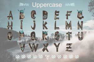Alternative view of Brave Viking Font Font
