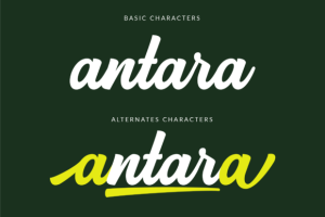 Alternative view of Backstone Font