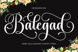Balegad Font