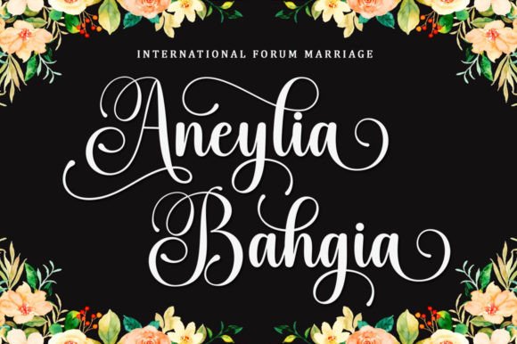 Balegad Font - Image 4