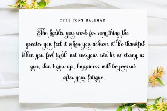 Balegad Font - Image 5