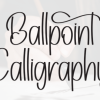 Ballpoint Calligraphy Font