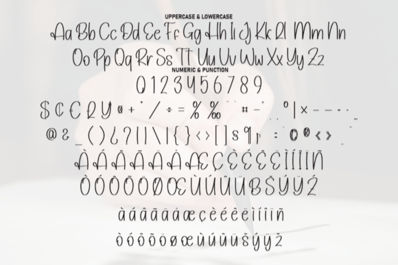 Ballpoint Calligraphy Font - Image 7
