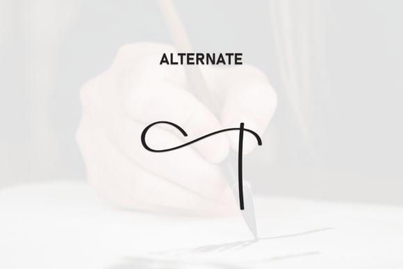 Ballpoint Calligraphy Font - Image 8