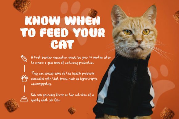 Baloon Everyday Font - Image 3