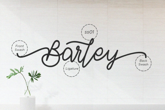 Barley Font - Image 7
