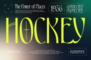 Alternative view of Barlon Font