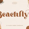 Beachfly Font