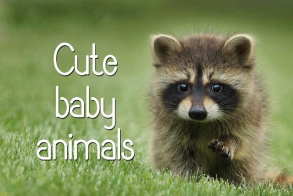 Begab Stencil Font - Image 9