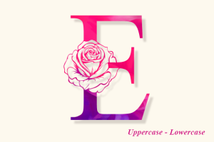 Alternative view of Bella Rose Monogram Font