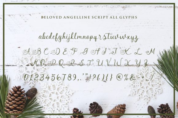 Beloved Angeline Duo Font - Image 3