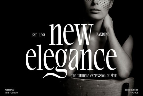 Bemore Serif Font - Image 3