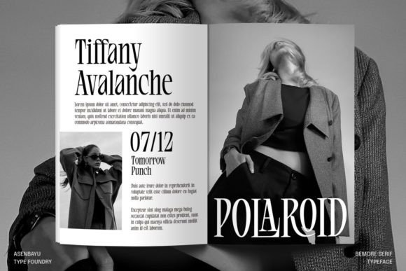 Bemore Serif Font - Image 5