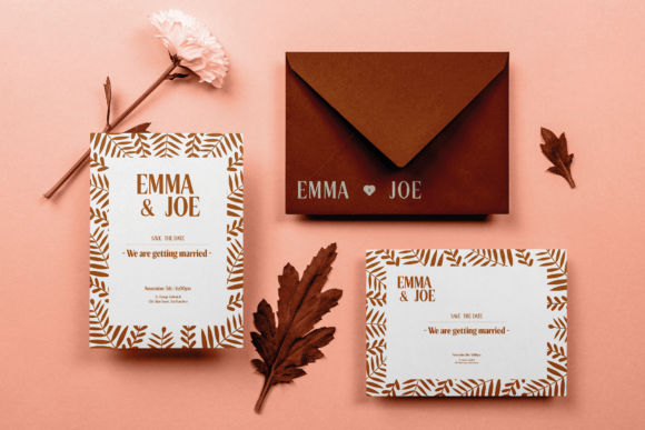 Benito Font - Image 2