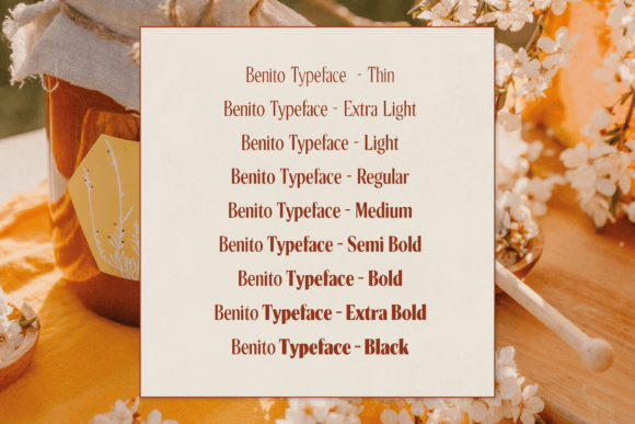 Benito Font - Image 3