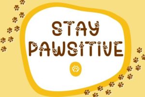 Alternative view of Best Paws Font