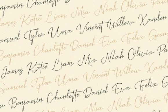 Bestia Font - Image 9