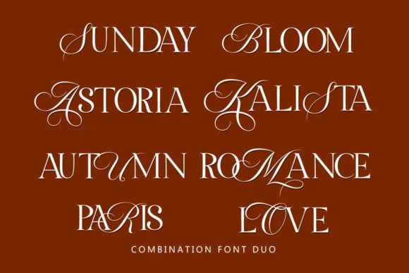 Besty Serif Font - Image 7