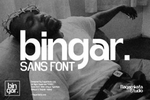 Bingar Font