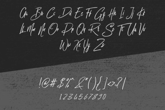 Bird House Font - Image 6