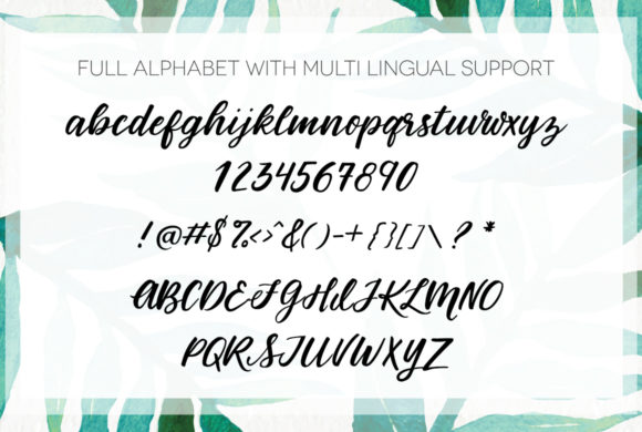Birds of Paradies Font - Image 3