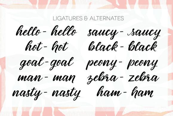 Birds of Paradies Font - Image 4
