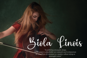 Alternative view of Biscuit Font