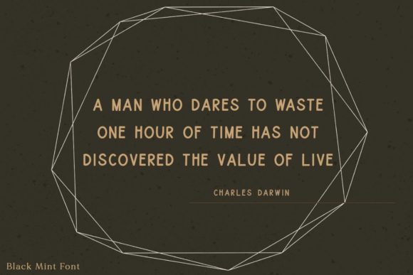 Black Mint Font - Image 5