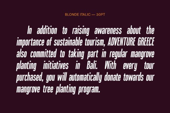 Blonden Font - Image 7