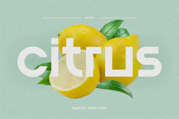 Blont Font - Image 3