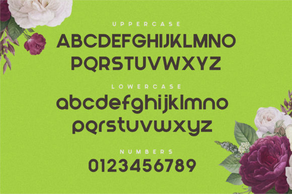 Blont Font - Image 8