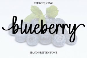 Blueberry Font
