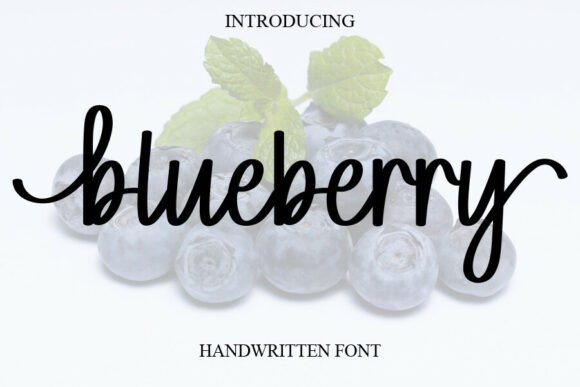 Blueberry Font