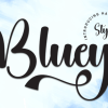 Bluey Font