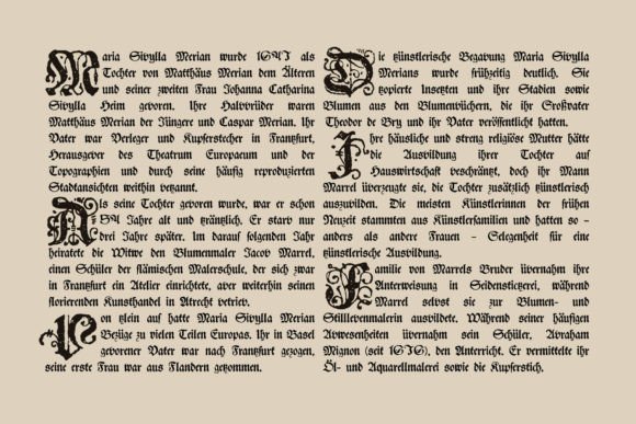 Blumen Font - Image 6