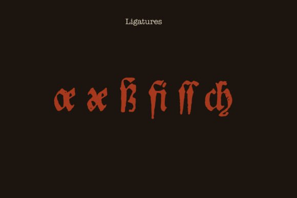 Blumen Font - Image 7